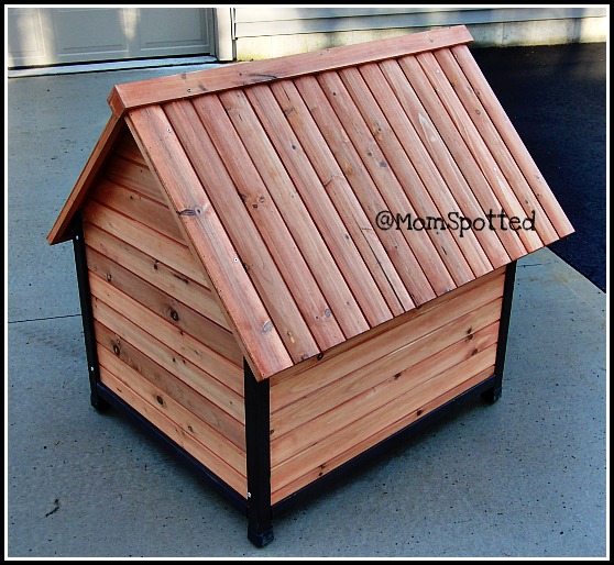 pet squeak arf frame dog house