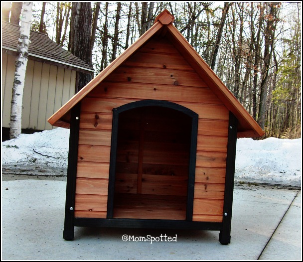 pet squeak dog house