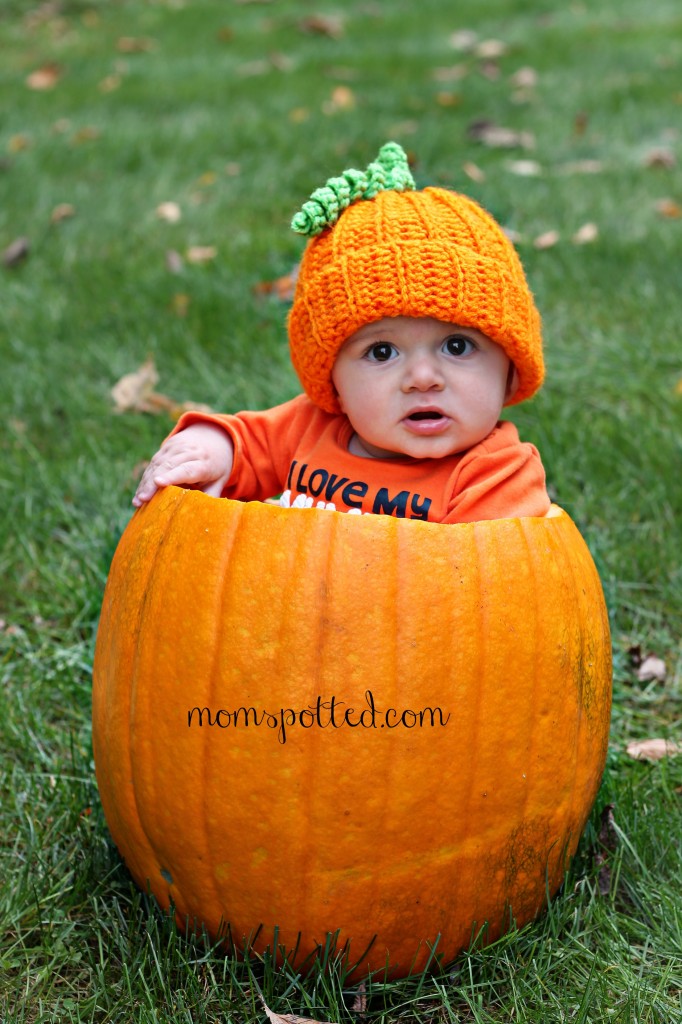 Baby + Pumpkin = Adorable Baby Photography - Mom Spotted