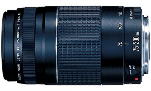 Canon EF 75-300mm f/4-5.6 III Telephoto Zoom Lens for Canon SLR Cameras