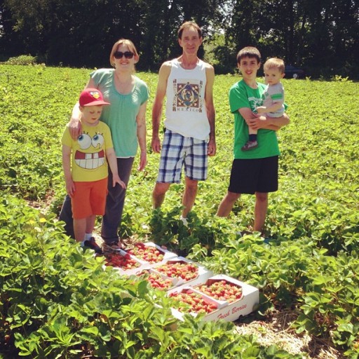 Strawberry picking in western ma with my dad & kids