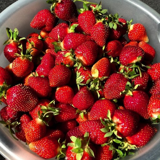 bowl full of fresh picked strawberries