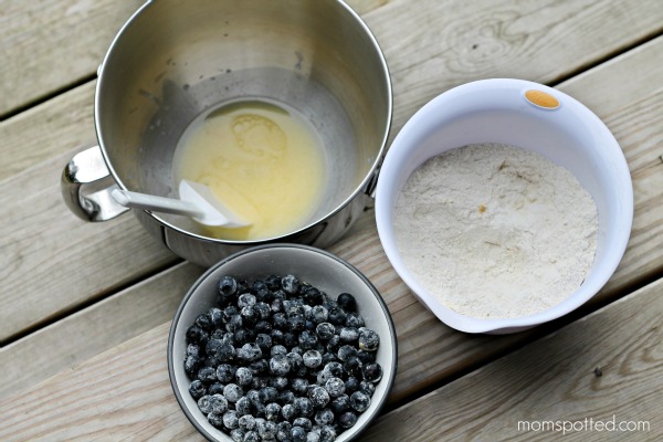 Blueberry Lemon Streusel Muffins 19