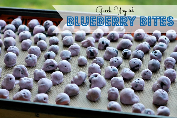 Frozen Yogurt Blueberry Bites