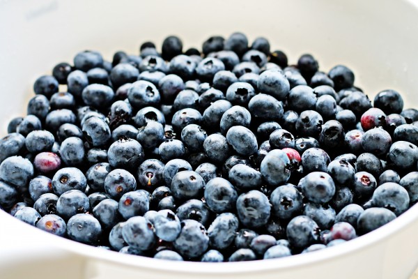 Fresh Picked Blueberries