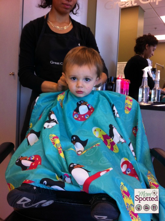 Sawyer's 1st Haircut