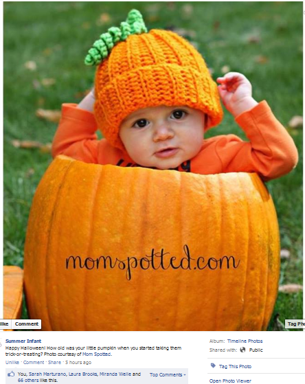 summer infant 2013 facebook feature sawyer james pumpkin photo baby