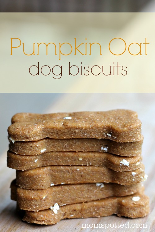 Pumpkin Oat Biscuits Your Dogs Will Be Begging For! #PumpkinCan #momspotted