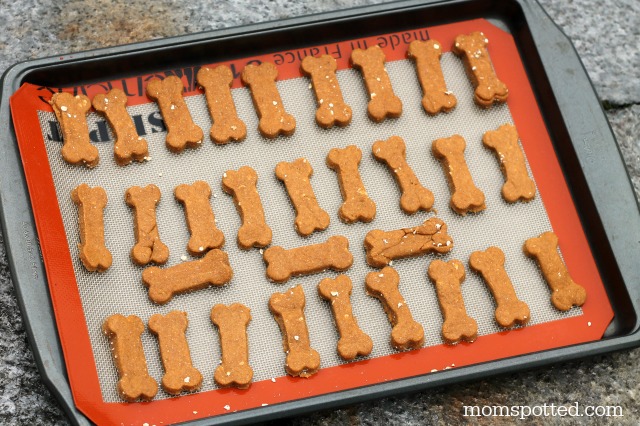 Pumpkin Oat Biscuits Your Dogs Will Be Begging For! #PumpkinCan #momspotted