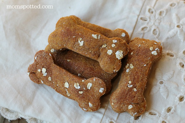 Pumpkin Oat Biscuits Your Dogs Will Be Begging For! #PumpkinCan #momspotted