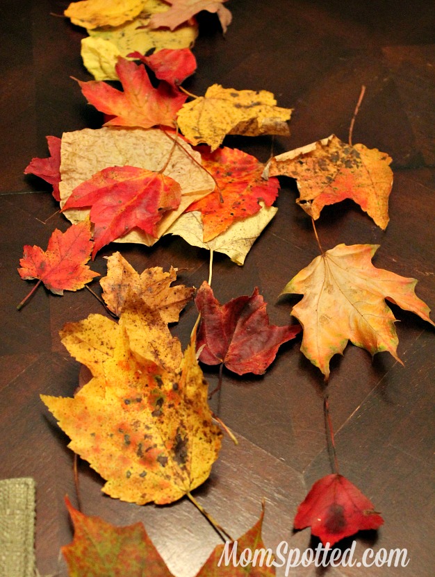 Fall Leaves in Wax Paper - The Seasoned Mom