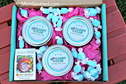 Candy Club The PREMIER Candy Of The Month Club Review Coupon Code 
