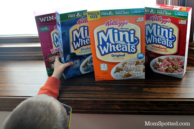 Sawyer James Frosted Mini Wheats