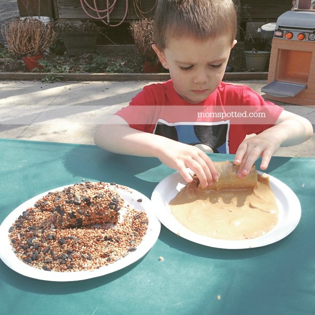 How To Make Your Own Bird Seed Feeders {Fun Crafts with Mom}