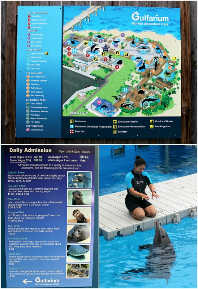 Gulfarium Marine Adventure Park Collage