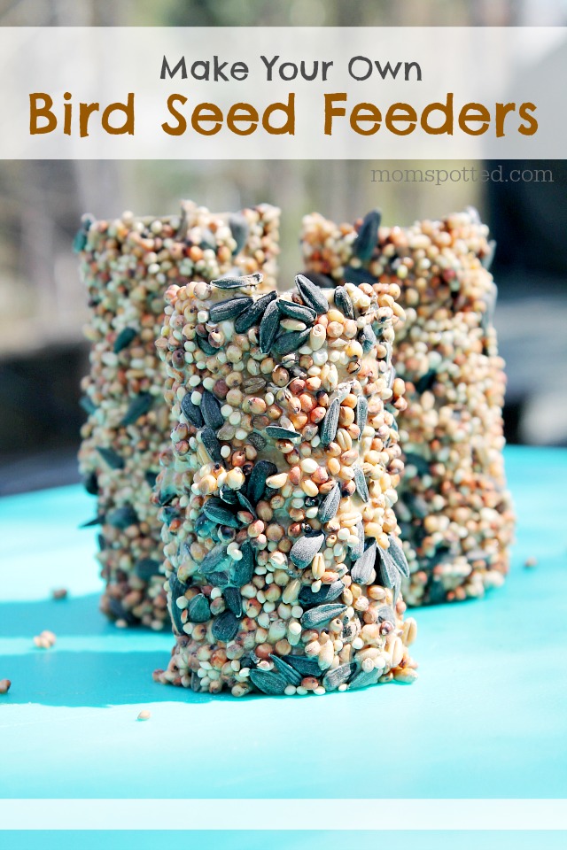 How To Make Your Own Bird Seed Feeders {Fun Crafts with Mom}