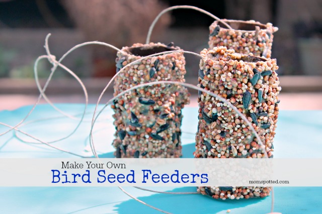 How To Make Your Own Bird Seed Feeders {Fun Crafts with Mom}