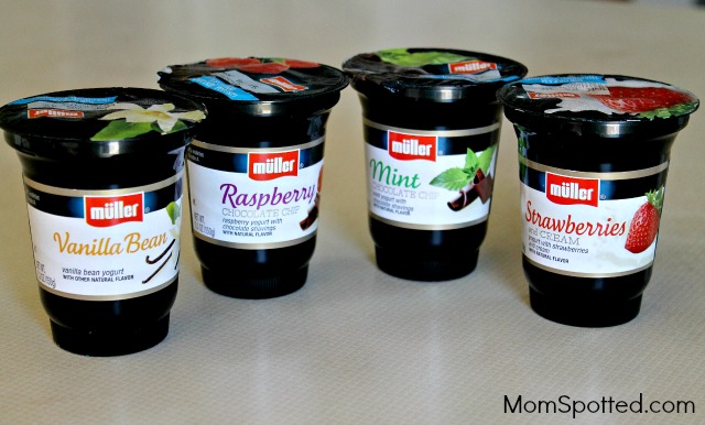 Muller Ice Cream Yogurt