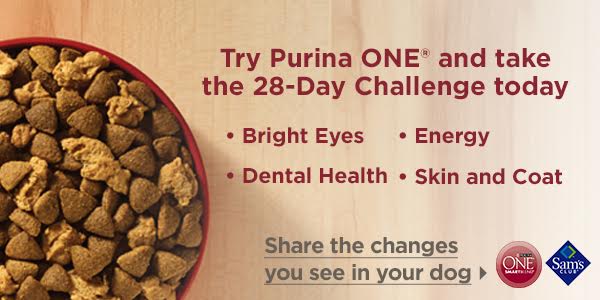 28 day challenge purina sale