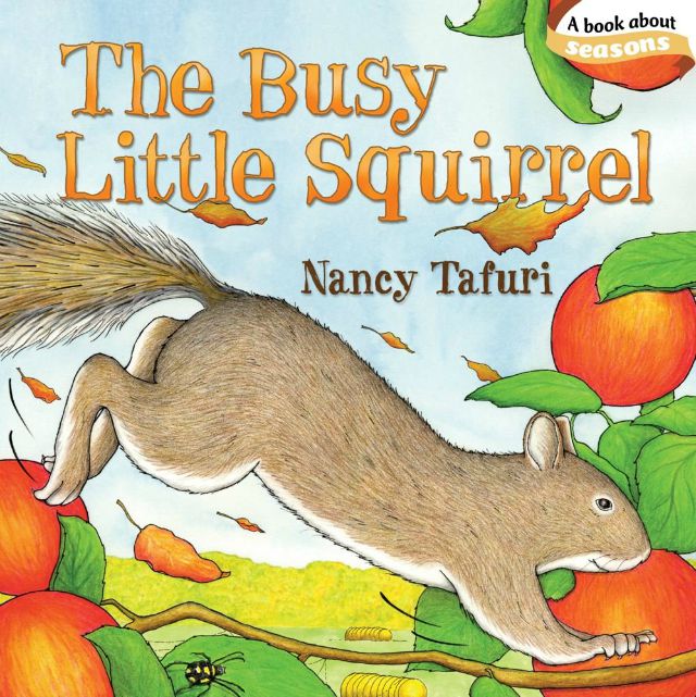 The Busy Little Squirrel (Classic Board Books) Board book