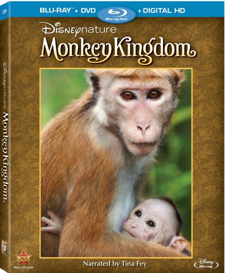 DisneynatureMonkeyKingdomBluray