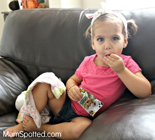 Favorite On The Go Snacks Sprout® Organic Baby & Toddler Food