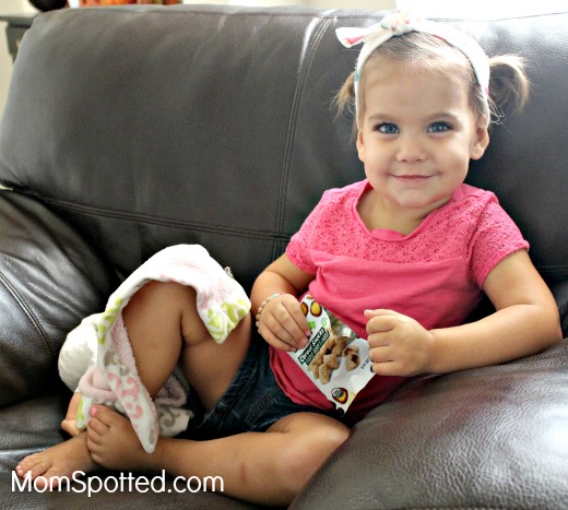 Favorite On The Go Snacks Sprout® Organic Baby & Toddler Food