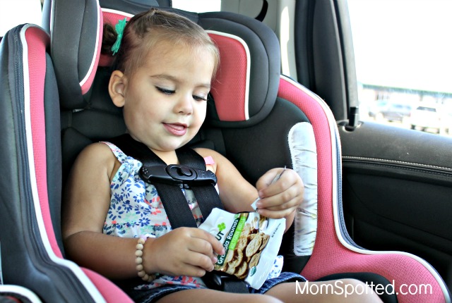 Favorite On The Go Snacks Sprout® Organic Baby & Toddler Food