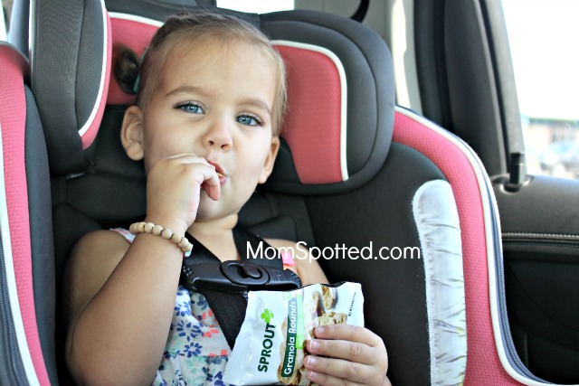 Favorite On The Go Snacks Sprout® Organic Baby & Toddler Food