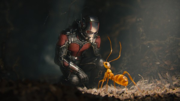 Marvels Ant Man on DMA & Blu Ray Combo Pack