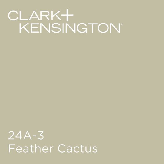Clark+Kensington Feather Cactus