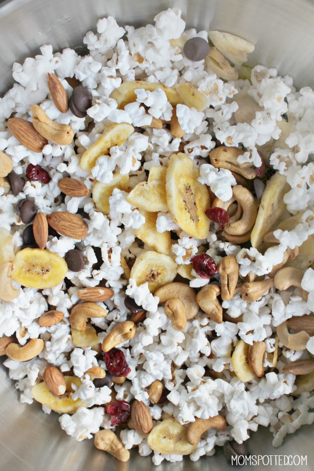 Easy Healthy Trail Mix on the go