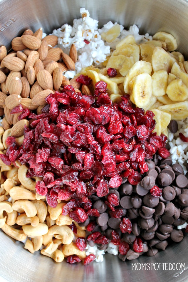 Easy HealthyTrail Mix Yum