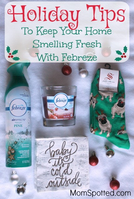 febreze-main-tips