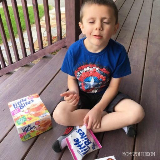 Entenmann’s Little Bites Strawberry Yogurt Muffins Mom Spotted