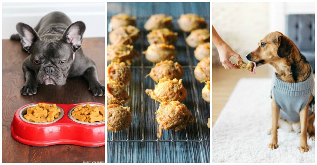 Quick & Easy Homemade Dog Treat Recipes - Mom Spotted