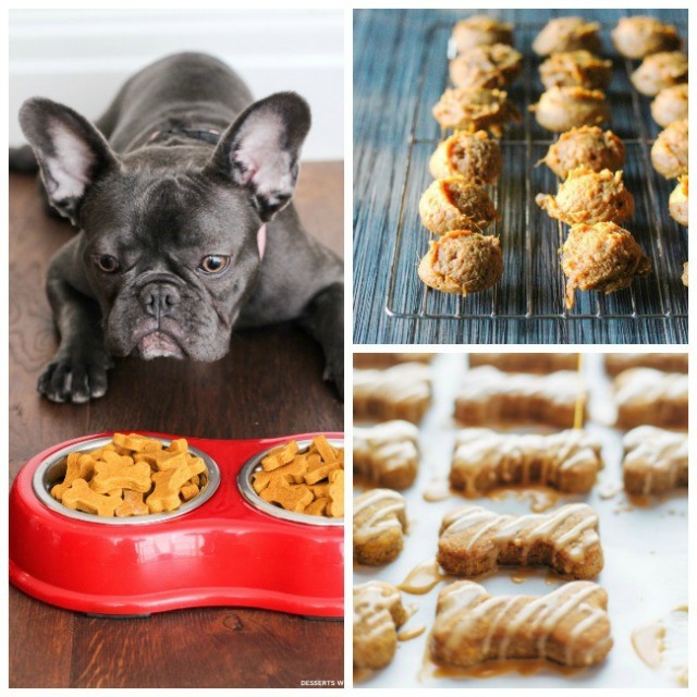 Quick & Easy Homemade Dog Treat Recipes - Mom Spotted