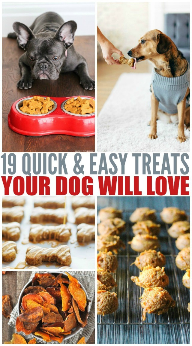 Quick & Easy Homemade Dog Treat Recipes - Mom Spotted